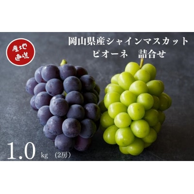 厳選　岡山県産　シャインマスカット・ピオーネ　詰合せ　計1.0kg以上　2房　産直・朝採れ