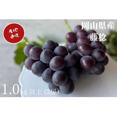 【2026年先行受付】　厳選　岡山県産　藤稔　計1.0kg以上　2房　産直・朝採れ