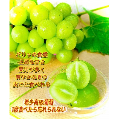 【2024年先行受付】【2024年6月下旬から出荷予定】岡山県産シャインマスカット秀品500g