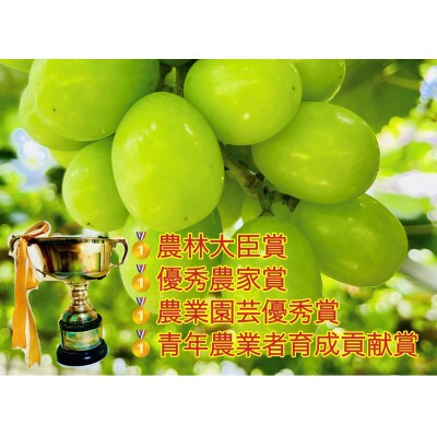 【2024年先行受付】【2024年6月下旬から出荷予定】岡山県産シャインマスカット秀品500g