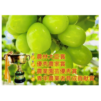 【2024年先行受付】【2024年6月下旬から出荷予定】岡山県産シャインマスカット秀品1kg