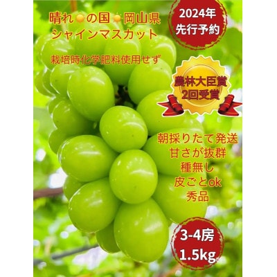 【2024年先行受付】【2024年6月下旬から出荷予定】岡山県産シャインマスカット秀品1.5kg