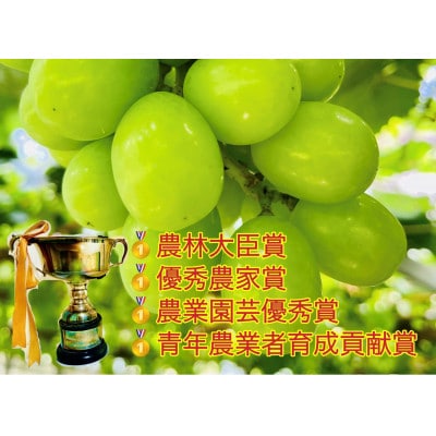 【2024年先行受付】【2024年6月下旬から出荷予定】岡山県産シャインマスカット秀品1.5kg