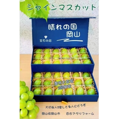 【2024年先行受付】【シャインマスカットJEWELBOX】大粒のみ・大切な人愛する人への贈り物