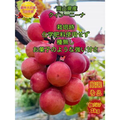 【2024年先行受付・2024年8月上旬から発送】岡山県産クイーンニーナ厳選秀品粒だけ2kg
