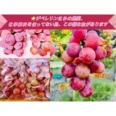 【2024年先行受付・2024年8月上旬から発送】岡山県産クイーンニーナ厳選秀品粒だけ2kg
