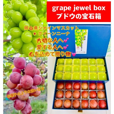 【2024年先行受付・シャインマスカット+クイーンニーナJEWELBOX】岡山県産大粒のみ贈り物