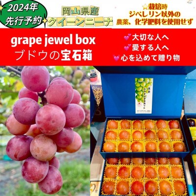 【2024年先行受付・クイーンニーナJEWELBOX】岡山県産大粒のみ　大切な人愛する人への贈り物