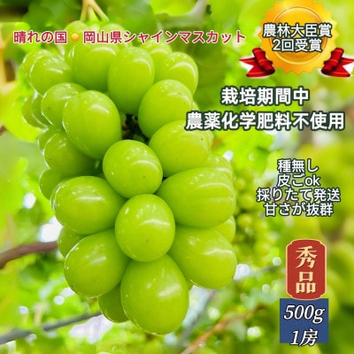 【2026年先行受付】【2026年6月下旬から順次発送】岡山市産シャインマスカット秀品500g