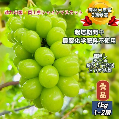 【2026年先行受付】【2026年6月下旬から順次発送】岡山市産シャインマスカット秀品1kg