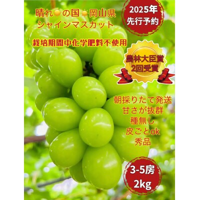 【2025年先行受付】【2025年6月下旬から順次発送】岡山市産シャインマスカット秀品2kg