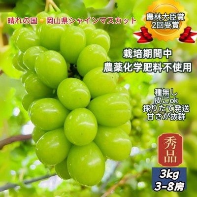 【2026年先行受付】【2026年6月下旬から順次発送】岡山市産シャインマスカット秀品3kg
