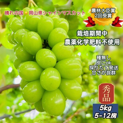 【2026年先行受付】【2026年6月下旬から順次発送】岡山市産シャインマスカット秀品5kg