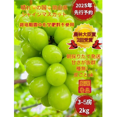 【先行受付 2025年7月上旬から順次発送】岡山市産シャインマスカット厳選秀品大粒2kg
