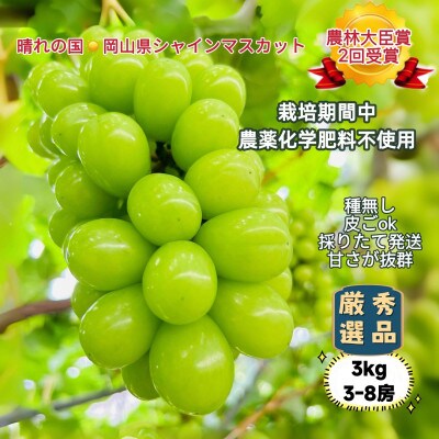 【2026年先行受付 2026年7月上旬から順次発送】岡山市産シャインマスカット厳選秀品3kg