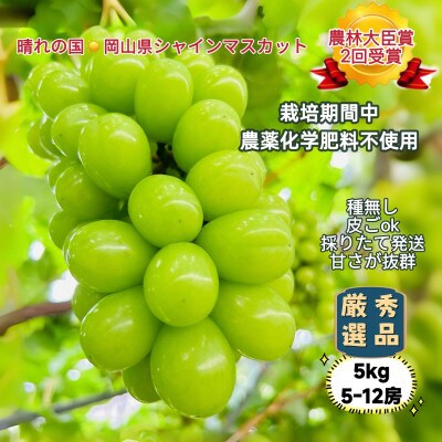【2026年先行受付 2026年7月上旬から順次発送】岡山市産シャインマスカット厳選秀品5kg