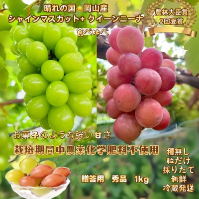 【先行受付・2026年8月上旬から順次発送】シャインマスカット+クイーンニーナ粒だけ秀品1kg