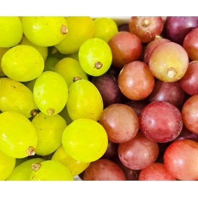 【先行受付・2026年8月上旬から順次発送】シャインマスカット+クイーンニーナ粒だけ厳選秀品2kg