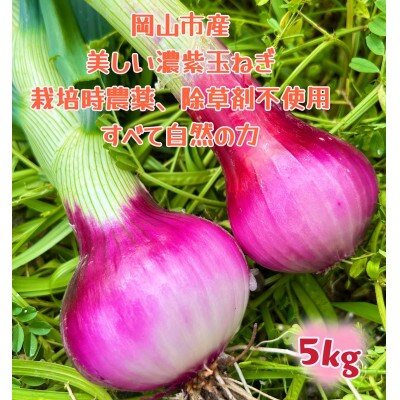 【先行受付】岡山市産赤紫玉ねぎ5kg(サイズ混合)栽培期間中農薬・除草剤不使用全て自然の力健康野菜