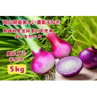 【2026年5月から順次発送順次発送】岡山市産赤紫玉ねぎ5kg(サイズ混合)全て自然の力健康野菜