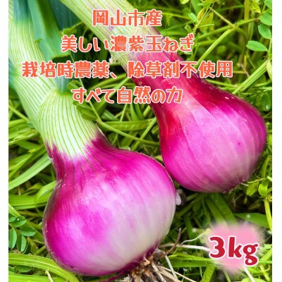 【先行受付】岡山市産赤紫玉ねぎ3kg(サイズ混合)栽培期間中農薬・除草剤不使用全て自然の力健康野菜