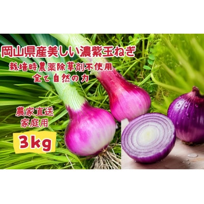 【先行受付2026年5月から順次発送】岡山市産赤紫玉ねぎ3kg(サイズ混合)全て自然の力健康野菜
