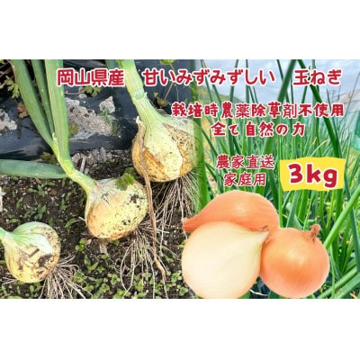 【先行受付2026年5月から順次発送】岡山市産玉ねぎ3kg(サイズ混合)全て自然の力健康野菜