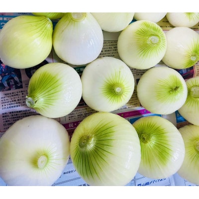 【先行受付】岡山市産玉ねぎ3kg(サイズ混合)栽培期間中農薬・除草剤不使用全て自然の力健康野菜