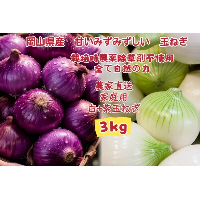 【2026年5月から順次発送】岡山市産玉ねぎ1.5kg・赤紫玉ねぎ1.5kgセット(サイズ混合)
