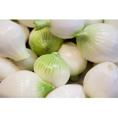 【2026年5月から順次発送】岡山市産玉ねぎ1.5kg・赤紫玉ねぎ1.5kgセット(サイズ混合)