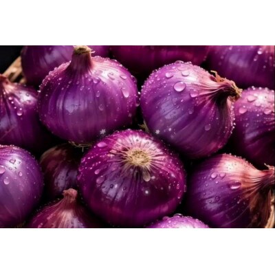 【2026年5月から順次発送】岡山市産玉ねぎ1.5kg・赤紫玉ねぎ1.5kgセット(サイズ混合)