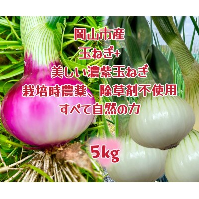 【先行受付】岡山市産玉ねぎ2.5kg・赤紫玉ねぎ2.5kgセット(サイズ混合)全て自然の力健康野菜