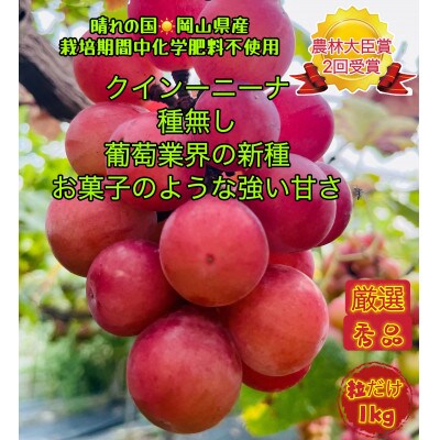 【先行受付・2025年8月上旬から順次発送】岡山市産クイーンニーナ厳選秀品粒だけ1kg