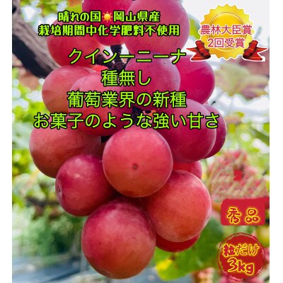 【先行受付・2025年8月上旬から順次発送】岡山市産クイーンニーナ秀品粒だけ3kg