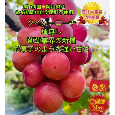 【先行受付・2025年8月上旬から順次発送】岡山市産クイーンニーナ秀品粒だけ2kg