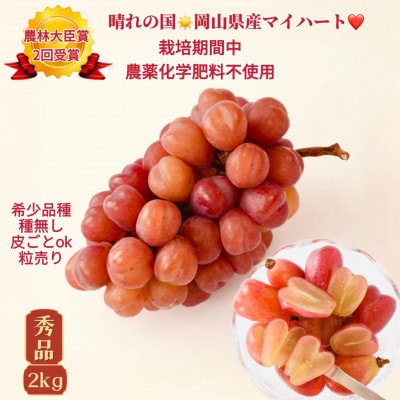 【2026年先行受付・2026年8月上旬から順次発送】岡山県産　マイハート　秀品　粒だけ2kg