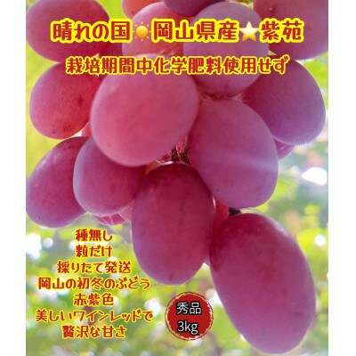 【2025年先行受付・2025年10月上旬から順次発送】岡山県産　紫苑　秀品　粒だけ3kg