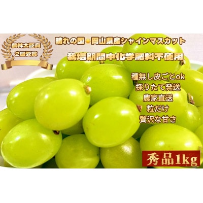 【2026年先行受付・2026年6月下旬順次発送】岡山県産　シャインマスカット　秀品　粒だけ1kg