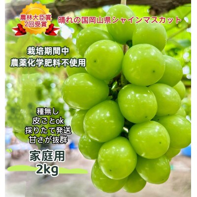 【2026年7月中旬から順次発送】家庭用 岡山県産シャインマスカット2kg 訳あり
