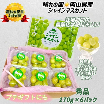 ぶどう 2026年 シャインマスカット 小分け 秀品 粒だけ 約170g 6パック 7月から発送