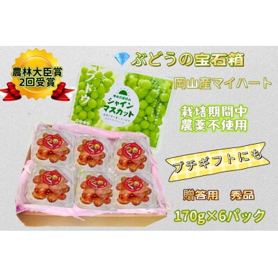 ぶどう 2026年 マイハート 小分け 秀品 粒だけ 約170g 6パック 8月から発送