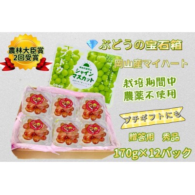 ぶどう 2026年 マイハート 小分け 秀品 粒だけ 約170g 12パック 8月から発送