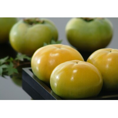 岡山市瀬戸町産太秋柿　4～6玉(約1.5kg)