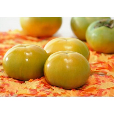 岡山市瀬戸町産太秋柿　4～6玉(約1.5kg)