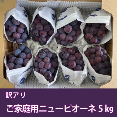 岡山県産ニューピオーネ　ご家庭用5kg(8～11房)　ふるさと納税【9月上旬～中旬頃発送】