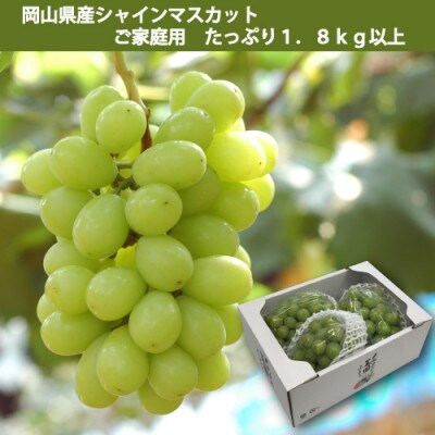 岡山県産シャインマスカットご家庭用約1.8kg(3～4房)ふるさと納税