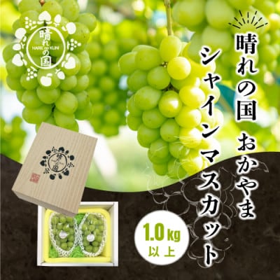 岡山県産シャインマスカット 1.0kg以上(2～3房)【2025年9月上旬から発送】