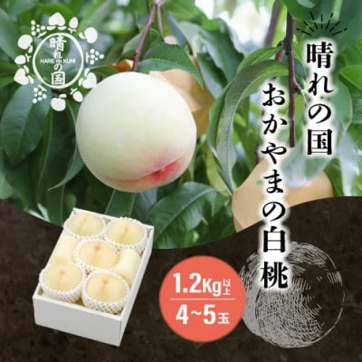 晴れの国　おかやまの白桃1.2kg以上(4～5玉)【8月中旬～9月上旬発送】