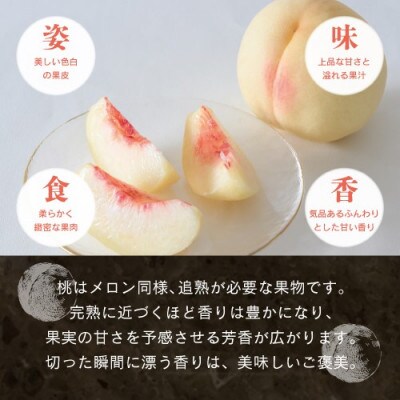 晴れの国　おかやまの白桃1.2kg以上(4～5玉)【8月中旬～9月上旬発送】