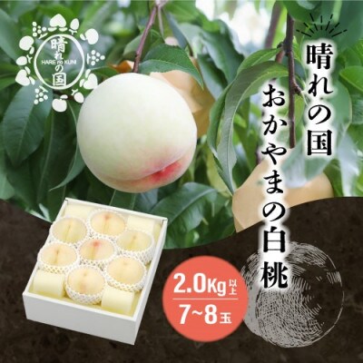 晴れの国　おかやまの白桃2.0kg以上(7～8玉)【8月中旬～9月上旬発送】